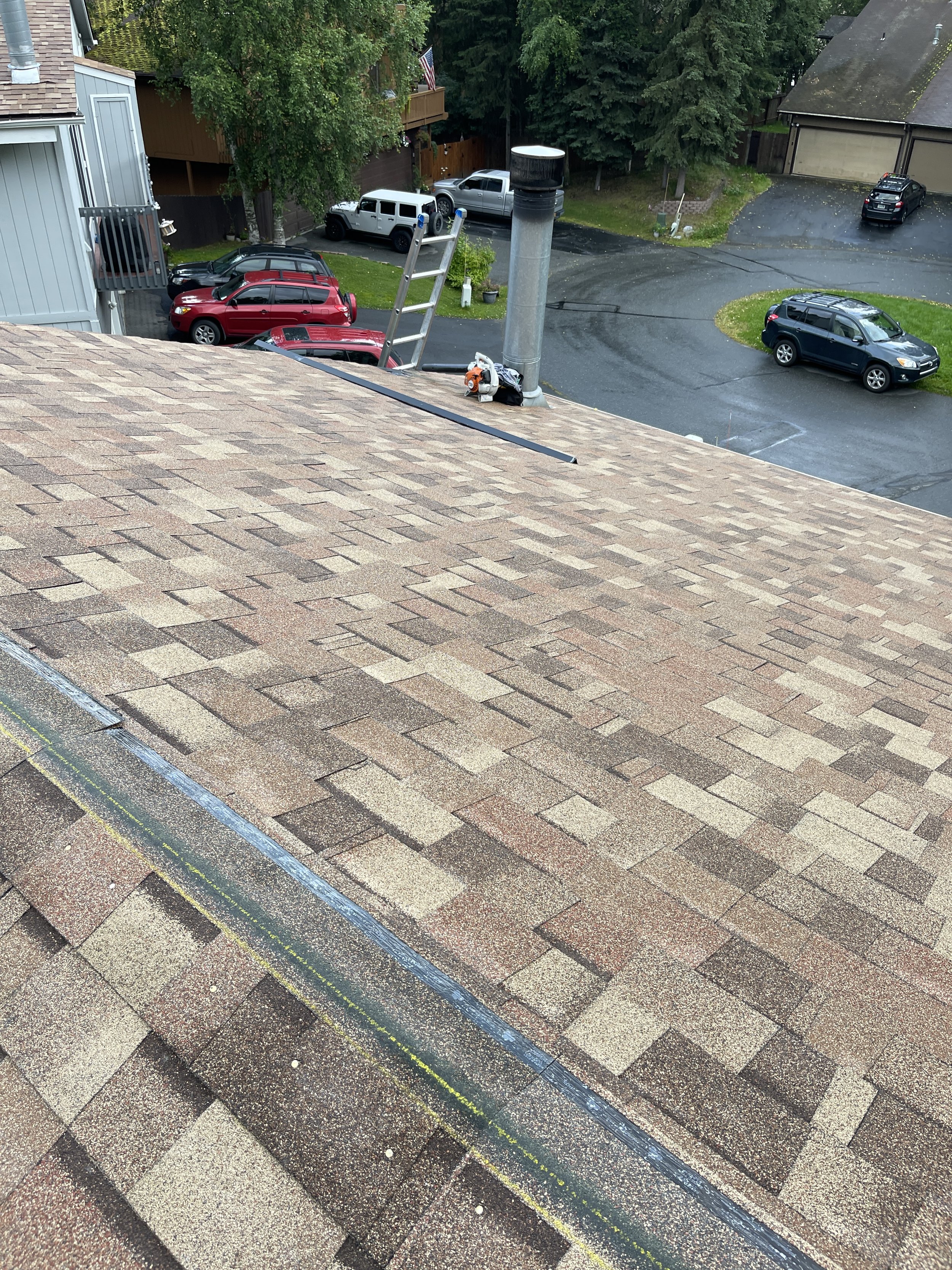 Steam Ice Dam Removal